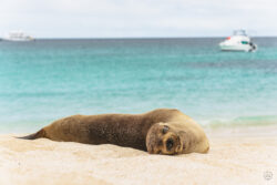 dsc00262